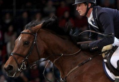 Ein Reiter und sein Pferd im Einsatz